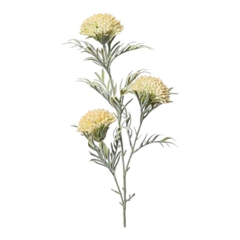 RAMO ZINNIA CM75 YELLOW